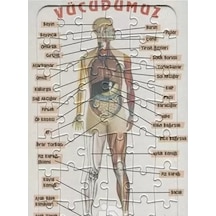 Ema Yap-boz İnsan Vücudu 25x35 /eleleilkadım
