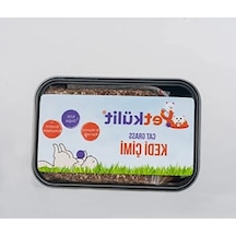Siyah Petkülit Kedi Çimi