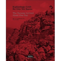 Kaplumbağa Geldi Bir Gün Tek Başına - The Tortoise Arrived Alone One Day - Bahattin Öztuncay - Yapı Kredi Yayınları