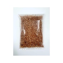 571 Collections Cemgizay Kabin Boy Kedi Ve Köpek Taşıma Çantası Uçak Onaylı 40x30x23cm Hava Delikli Açık Kahve Açık Altın