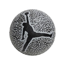 Nike Jordan Skills 2.0 Graphic Unisex Basketbol Topu