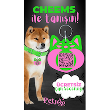 Petjoo 18.Cheems Pembe-Yeşil Qr'lı Köpek Künyesi