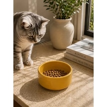 Hubrendy Sh Kase Model Beton Kedi Köpek Mama Ve Su Kabı 15cm Çap 5cm - Bronz