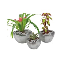 Saksı Çiçek Kaktüs Saksısı Lüx 15 Cm Önü Açık Desenli 3'lü Set Çiçeklik - Gümüş Eskitme