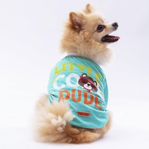 Pawstar Mint Dude Kedi Köpek Sweati Kıyafeti