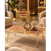 Odera Ceviz Orta Sehpa Ve Zigon Sehpa 4'lü Set Metal Tel Ayaklı Modern Retro Salon Sehpası Diğer