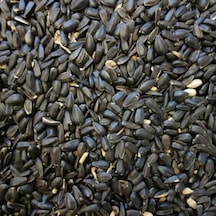 Papağan Çekirdek Küçük Taneli 1 KG Taze