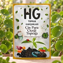 Hg Çin Para Çiçeği Pilea Saksı Toprağı 20 LT