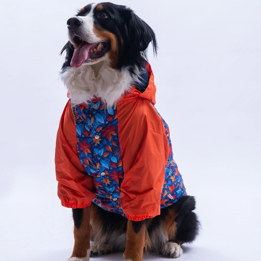 Amsterdam Fall Turuncu Yaprak Desenli Büyük Irk Köpek Montu Köpek Yağmurluğu Köpek Kıyafeti Köpek Elbisesi