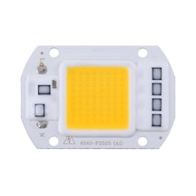 Gün Işığı 220V Projektör Cob Led 50W Driver Çipli