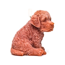 Büyük Kahverengi Köpek Mum