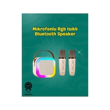 İki Krofonlu Renkli Led Işıklı Karaoke Cihazı Standart