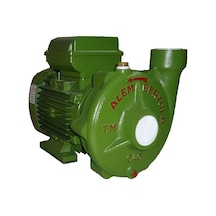 Alem Bertola C40 1Hp Monofaze Santrifüj Pompa