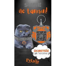 Petjoo 3.Susie Turuncu-Gri Qr'lı Kedi Künyesi