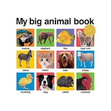 My Big Animal Book