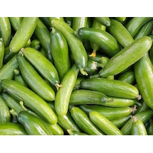 Doğal Salatalık Tohumu Çengelköy