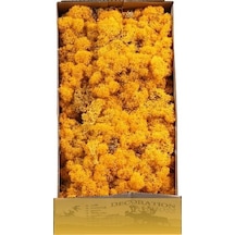 Reindeer Moss Hardal Şoklanmış Norveç Yosunu 250gr