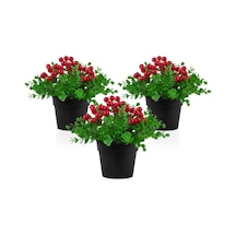3 Adet Siyah Mini Plastik Saksıda Yapay Kokina Çiçeği