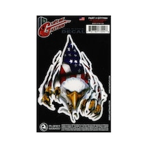 Planetwaves Gt77094 Gtr Tattoo- Rıp N Tear Eagle Sticker Gtr Tattoo- Rıp N Tear Eagle Sticker Standart