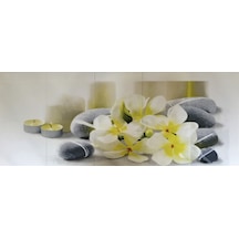 Pnt 01 - Dijital 5 Li Set