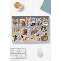 Kedi Temalı Sticker Etiket Seti - Cat Sticker - Laptop Notebook Telefon Diğer