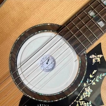 Novahub Adet Gitar Nem Ölçer Akustik Gitar Higrometresi Ses Deliği Nemlendirici Gitar Higrometresi Hava Nemlendirici