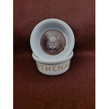 Raccoon Olimpos Serisi Athena Seramik Mama Ve Su Kabı 300ml