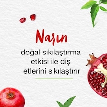 Himalaya Since 1930 Komple Bakım Bitkisel Diş Macunu, Florürlü, Parabensiz, Vejeteryan, Güçlü Dişler, 75 Ml