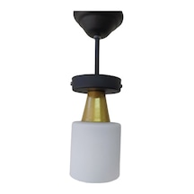 Riolight Retro Rustik Opal Camli Tekli Sarkit Avize