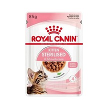 Ayrex Royal Canin Adult Chihuahua Yetişkin Köpek Pouch Konserve 12 X 85 Gr