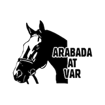 Arabada At Var Oto Özel Yeni Sticker Siyah 30 X 24 Cm