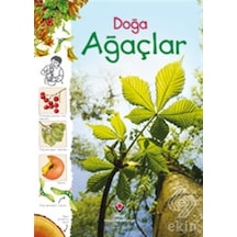 Doğa-Ağaçlar - Laura Howell - Tübitak Yayınları