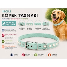 İncili Köpek Boyun Tasması 24-34 Cm Küçük Irk Ayarlanabilir Metal Tokalı D Halkalı - Mint Yeşili Çok Renkli