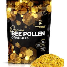 Wellnees Labs Organic Bee Pollen Arı Poleni Immune Boost Digestive Proteins Vitamins Mineral