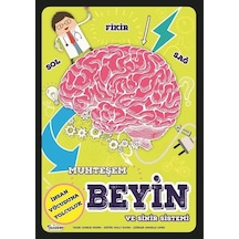 Muhteşem Beyin Ve Sinir Sistemi / Charlie Ogden
