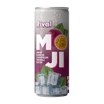 Rival Moji Limon, Nane Ve Çarkıfelek Meyvesi Aromalı Gazlı İçecek 250 Ml 12'li