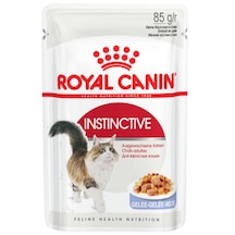 Royal Canin Instinctive Jelly Pouch Yetişkin Kedi Maması 12 x 85 G