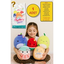 1 Adet Sürpriz Kokulu Squishmallows Mystery Squad Meyve Temalı Sürpriz Paket - 1 Adet - 20 Cm Çok Renkli