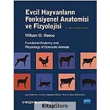 Evcil Hayvanların Fonksiyonel Anatomisi ve Fizyolojisi - Willi