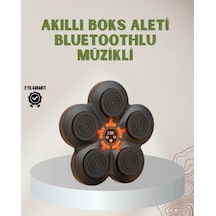Bluetoothlu Akıllı Boks Antrenman Cihazı Işıklı Hedefli Kardiyo Ve Fitness Aleti 1