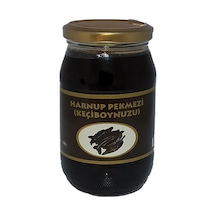 Harnup Pekmezi 420 G