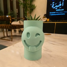 Bezos 3d Baskı Emoji Planter - Göz Kırpan Yüzlü Sukulent Saksısı-mint Nhr Standart