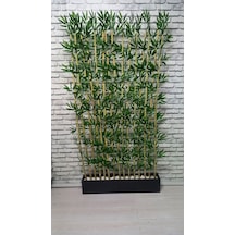 75 Cm Siyah Mat Saksıda 15 Adet 150 Cm Özel Yapım Bambu Spetatör Yeşil