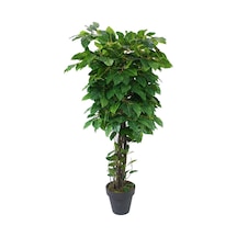 Yapay Mango Ağacı Yeşil 170 cm