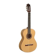 Paco Castillo Flamenko Gitar Mod-211f