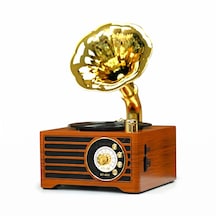 Rt-603 Mini Nostaljik Gramafon Radyo,şık Tasarım Gramafon Nostalji Radyo