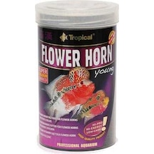 Tropical Flowerhorn Young 100 G Kovadan Bölme