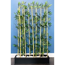 Yapay Çiçek Deposu Kumaş Yapraklı Ahşap Saksıda Bambu Seperatör 20x100x180cm