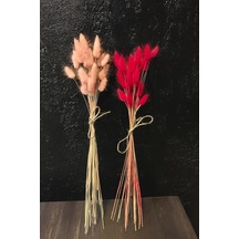 Kırmızı - Pembe