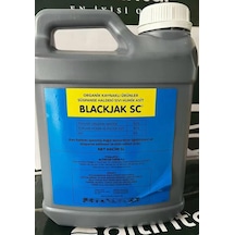 5 Lt
